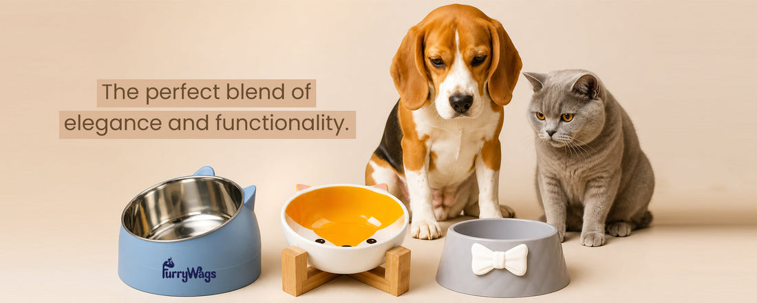 Make Every Meal Special with FurryWags Pet Bowls
