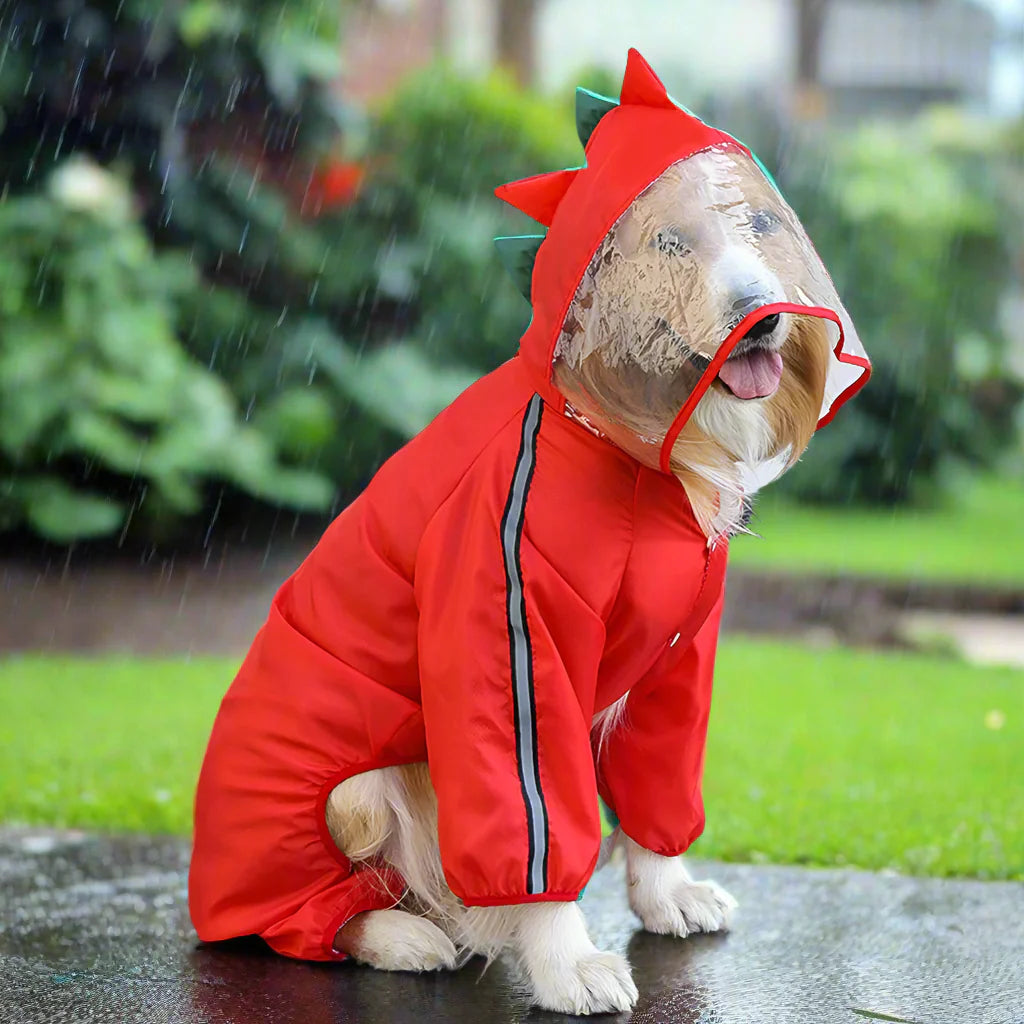 Rain Ready