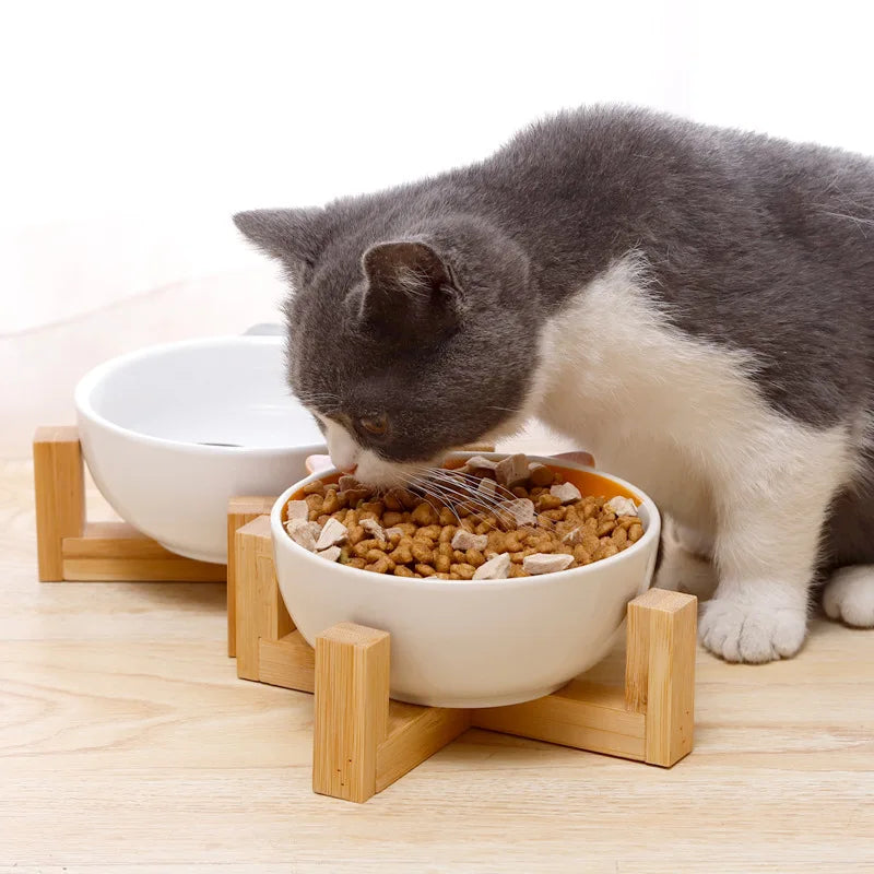 Bowl & Beyond