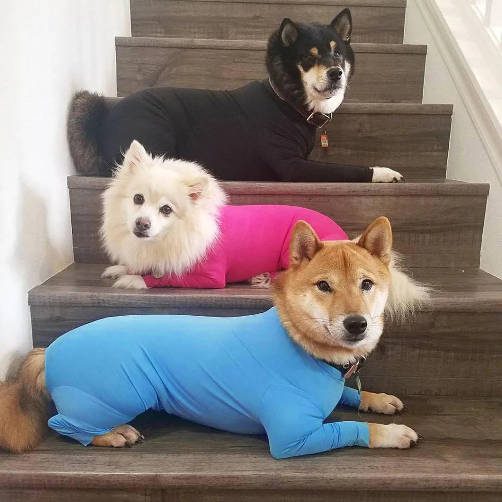 FurryWags home page collection
