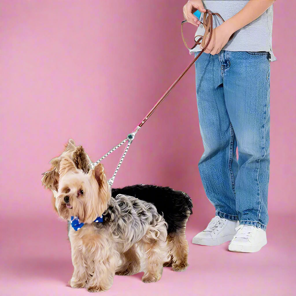 2 dogs lead metal