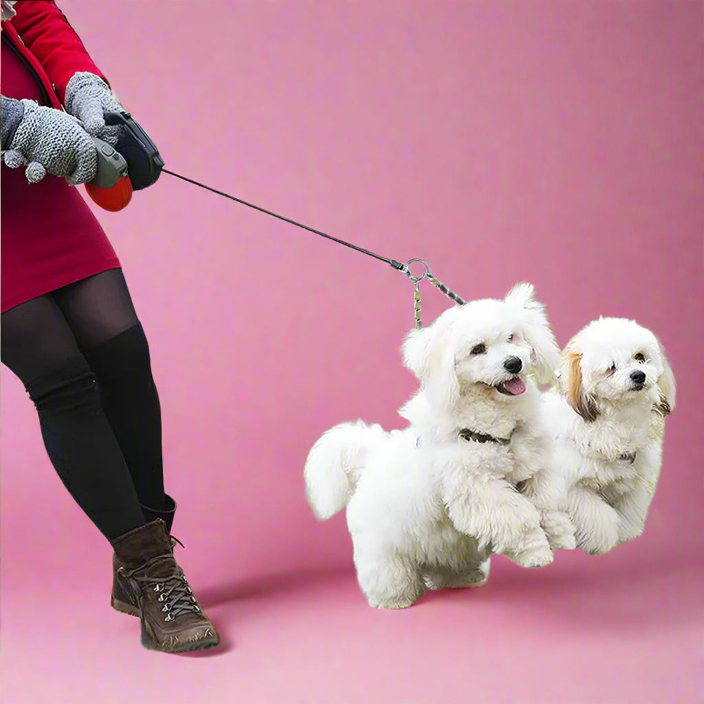 2 pet dogs Leash Splitter