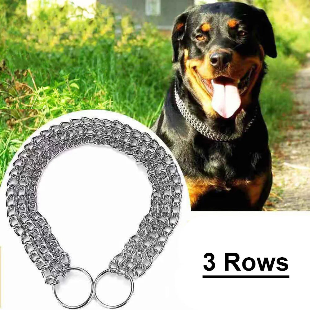 A silver metal dog collar chain a Rottweiler dog wearing a similar chain and grassy outdoor scenery.