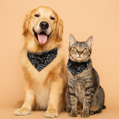 Adjustable Bandana Collar for Cats and Dogs  Black