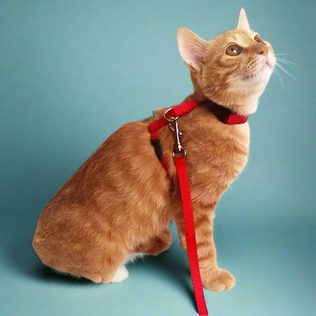 Adjustable Cat Harness