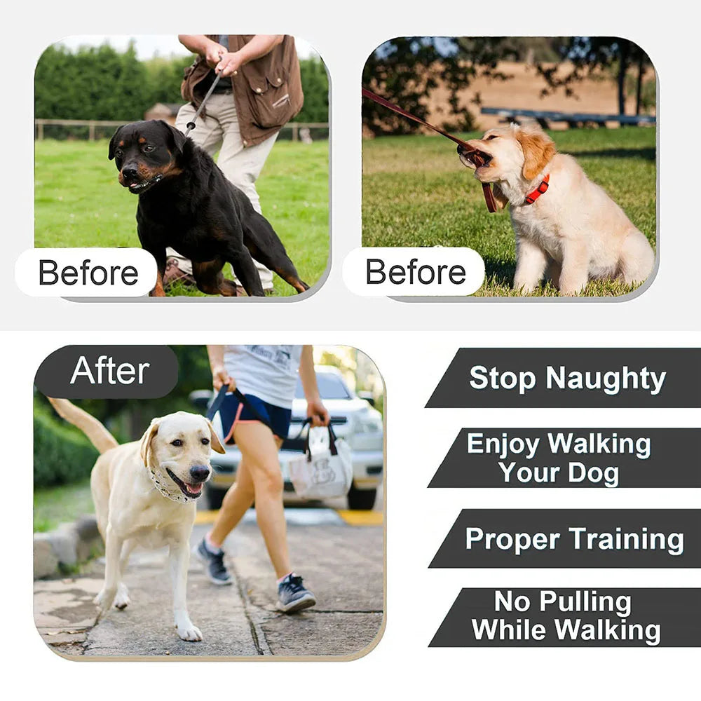 Anti pull detachable dog metal collar chain black
