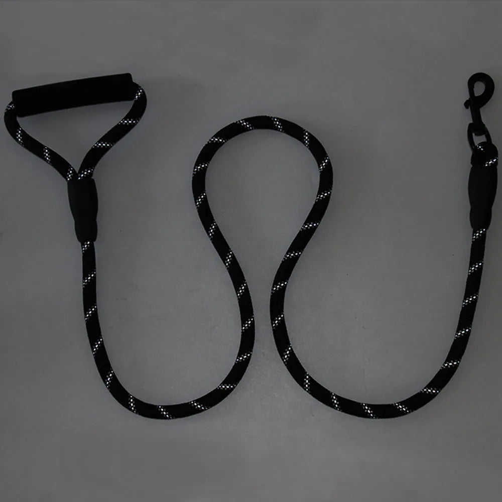 Black leash with matching harness