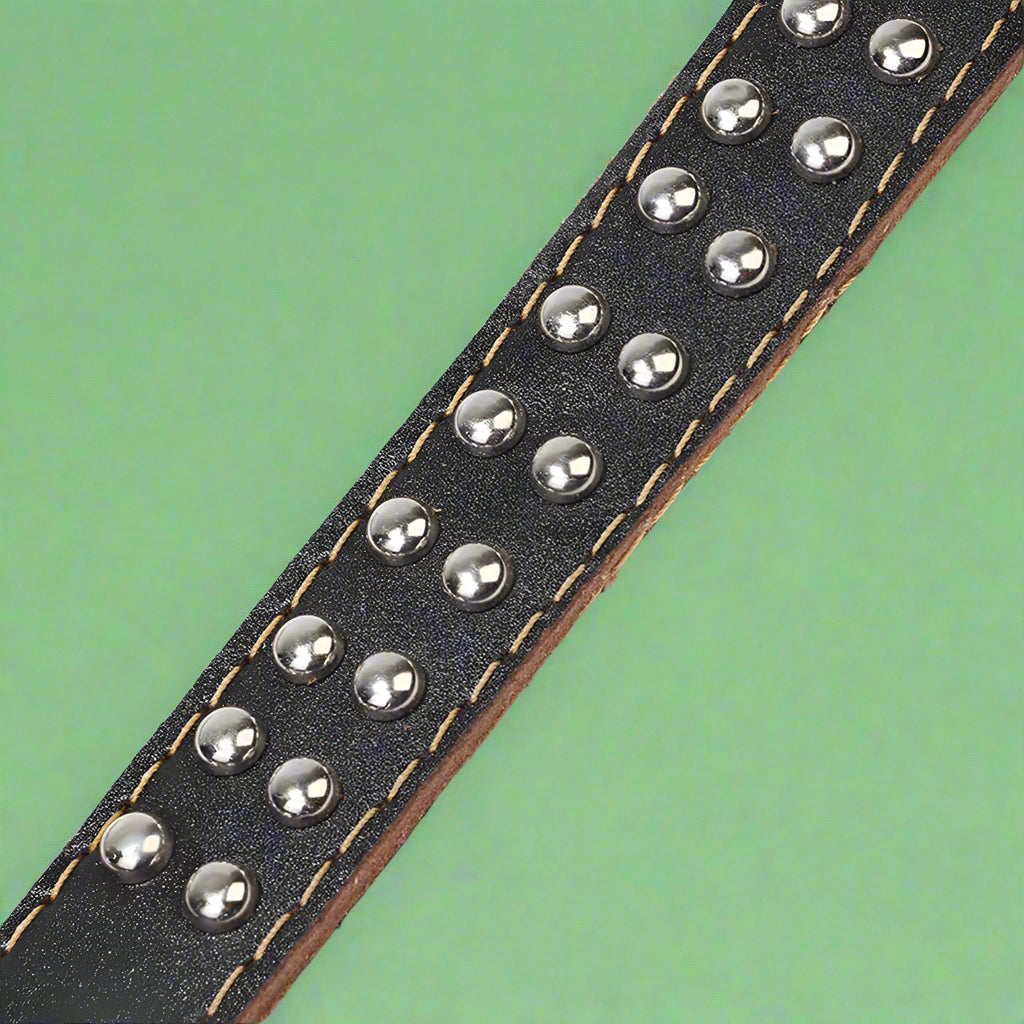 Black leather belt with silver studs for dogs