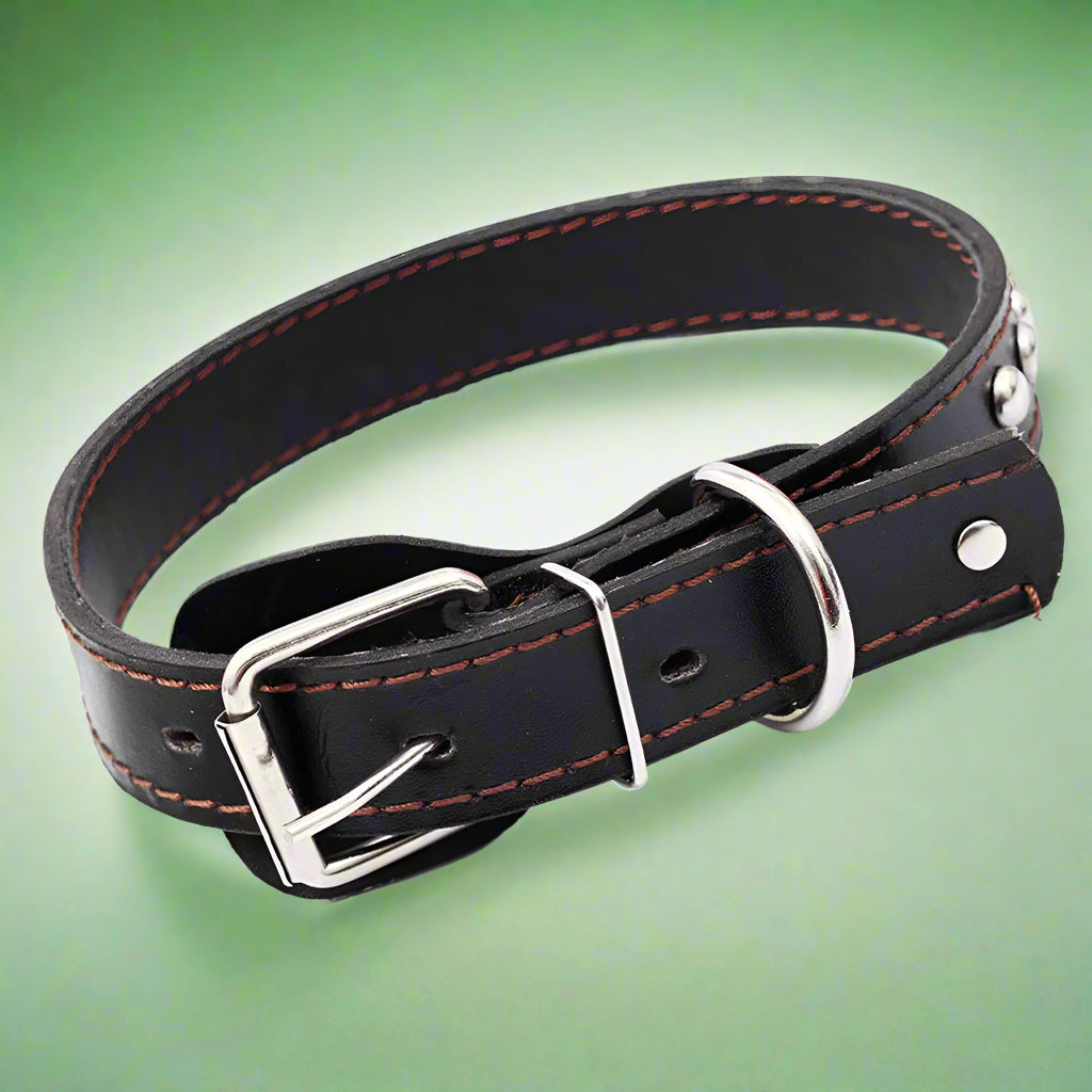 Black leather dog collar with red stitching and silver buckle