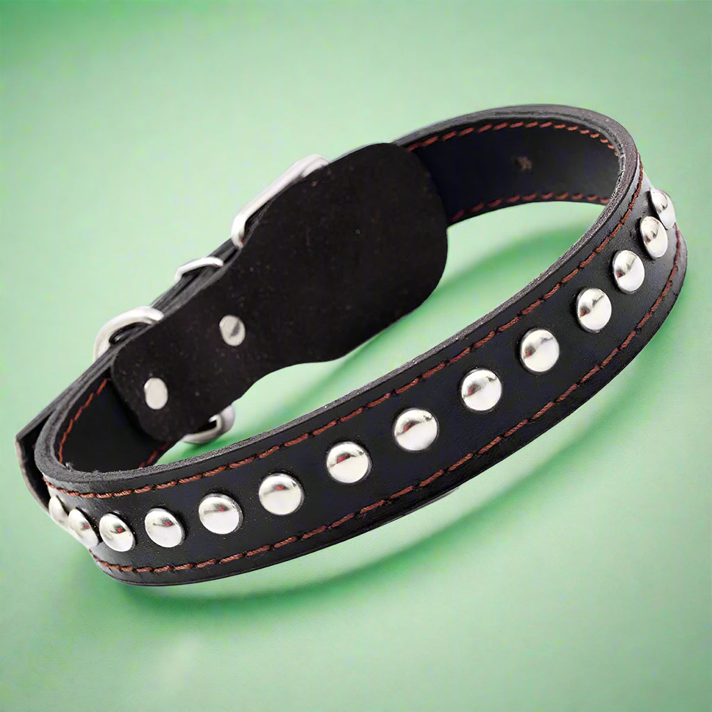 Black leather dog collar with silver studs on