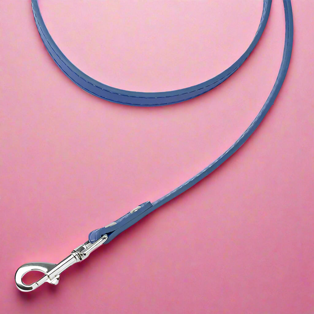 Blue color leash for dogs and pets