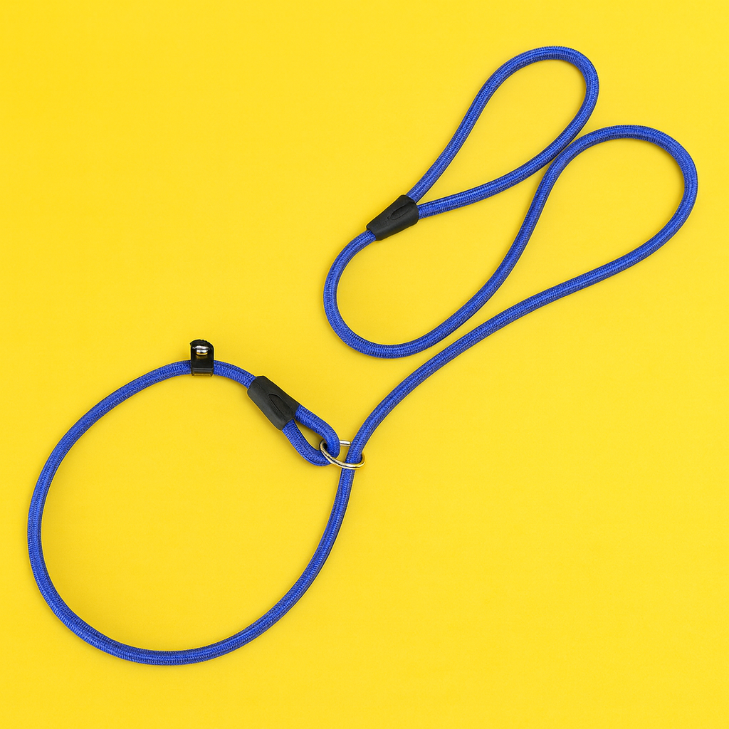 Blue dog leash with black clips on a yellow background