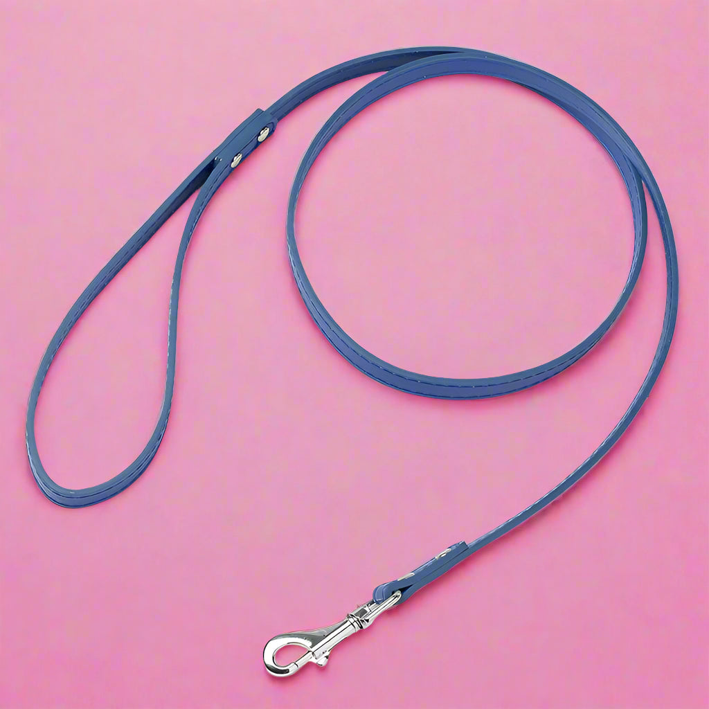 Blue leash for dogs