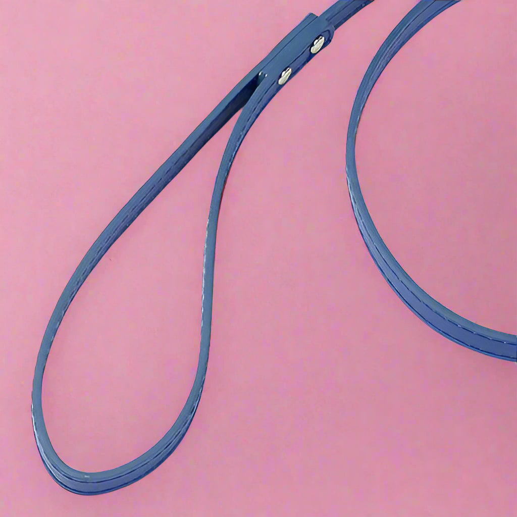 Blue leash for dogs and pets
