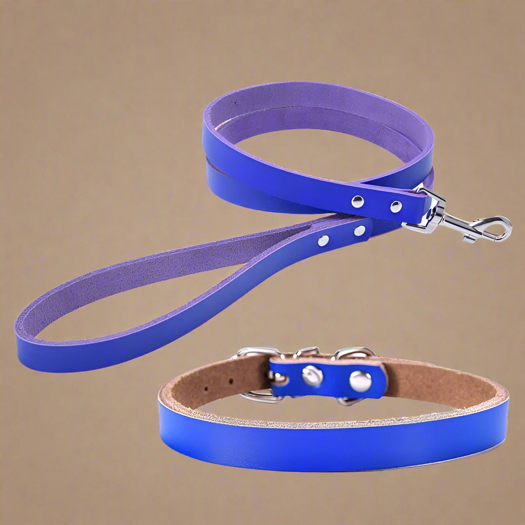 Blue leather dog leash and collar set