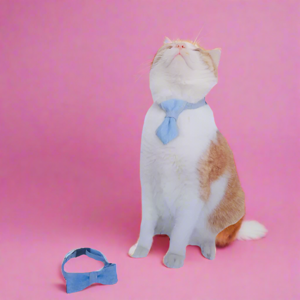 Bow tie for Pet Cats