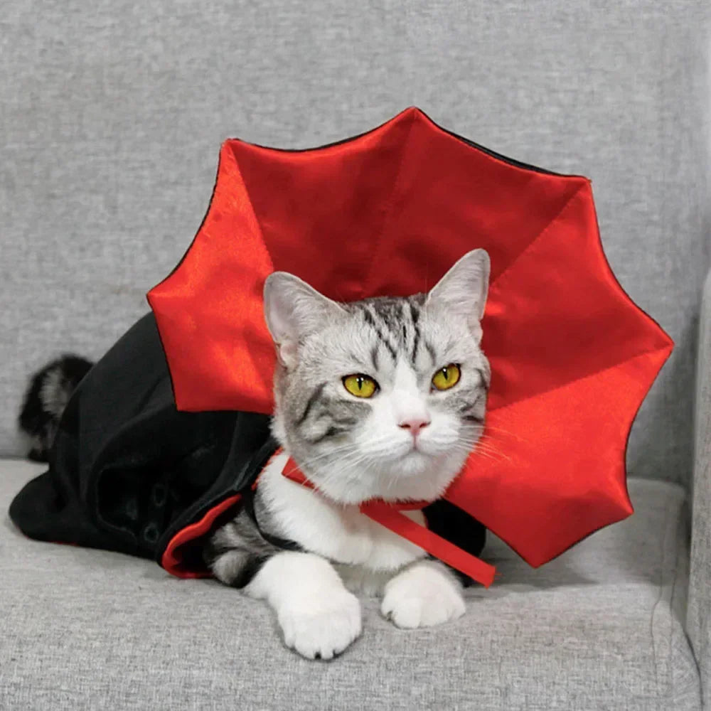 Cat Cloak Cape Halloween Costume – Spooky & Adorable Pet Costume