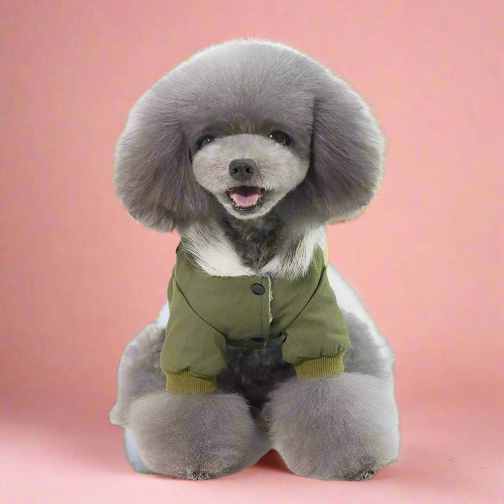 Cat Jacket Army Style for Winter