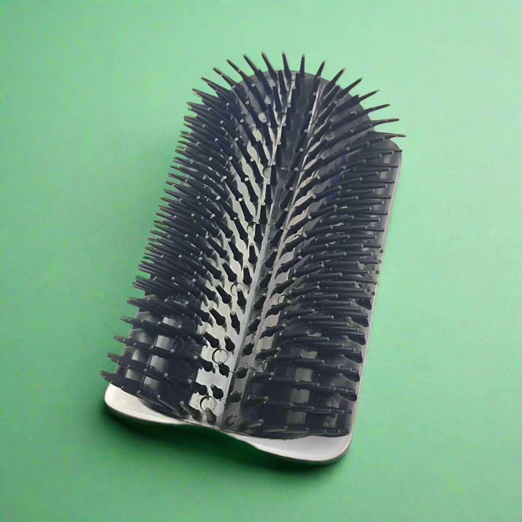 Cat Self-Grooming Arch Brush & Hair Remover - Black