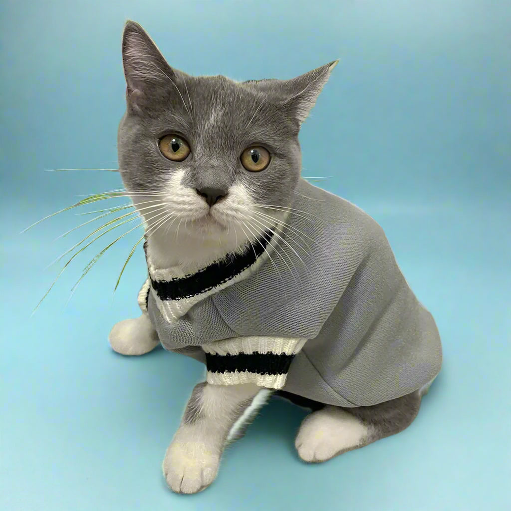 Cat Winter Sweater Gray