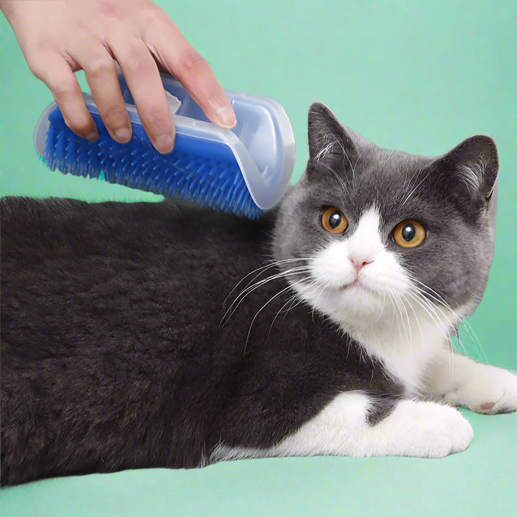 Cat hair cleaner Cat Self-Grooming Arch Brush & Hair Remover - Green