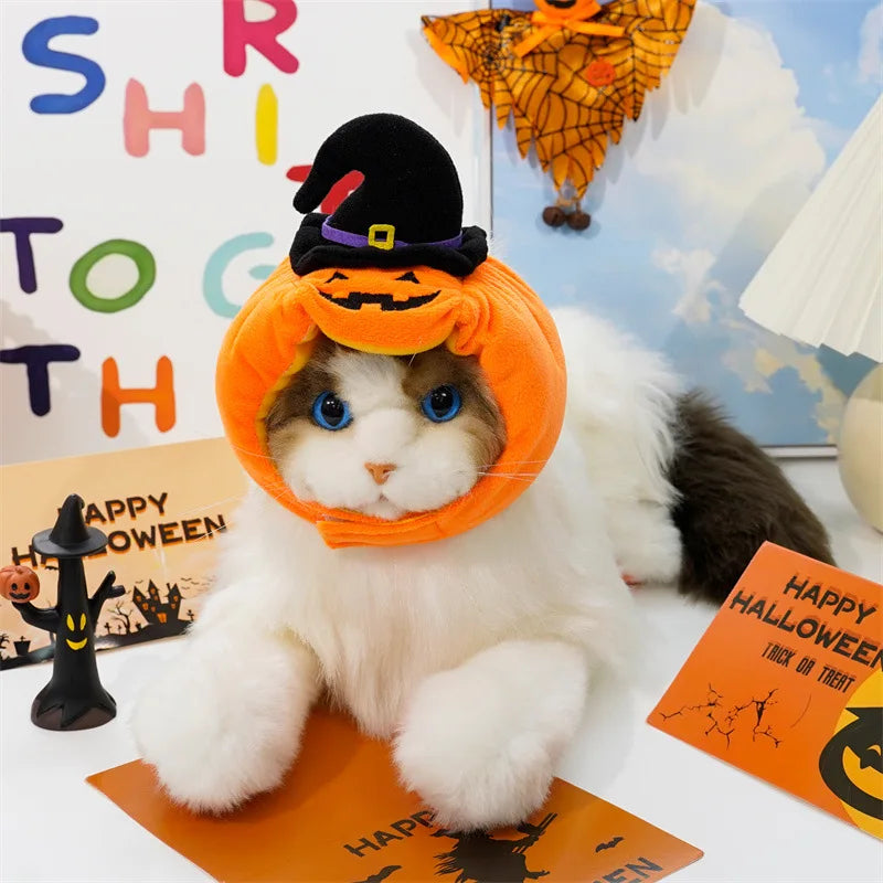 Cat wearing a Halloween-themed hat with pumpkins and a witch, surrounded by festive decorations.