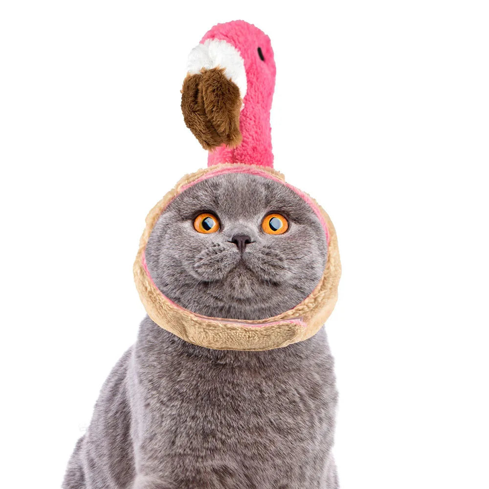 Cat wearing a flamingo hat toy on a white background