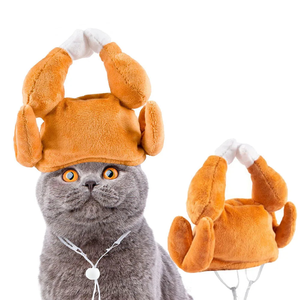 Cat wearing a fluffy orange turkey hat on a white background