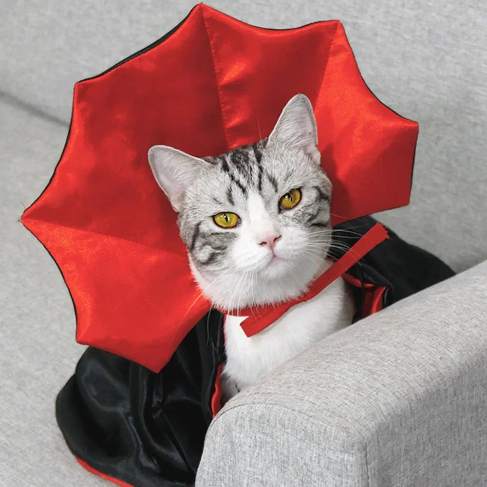 Cat wearing a red and black cape on a gray couch