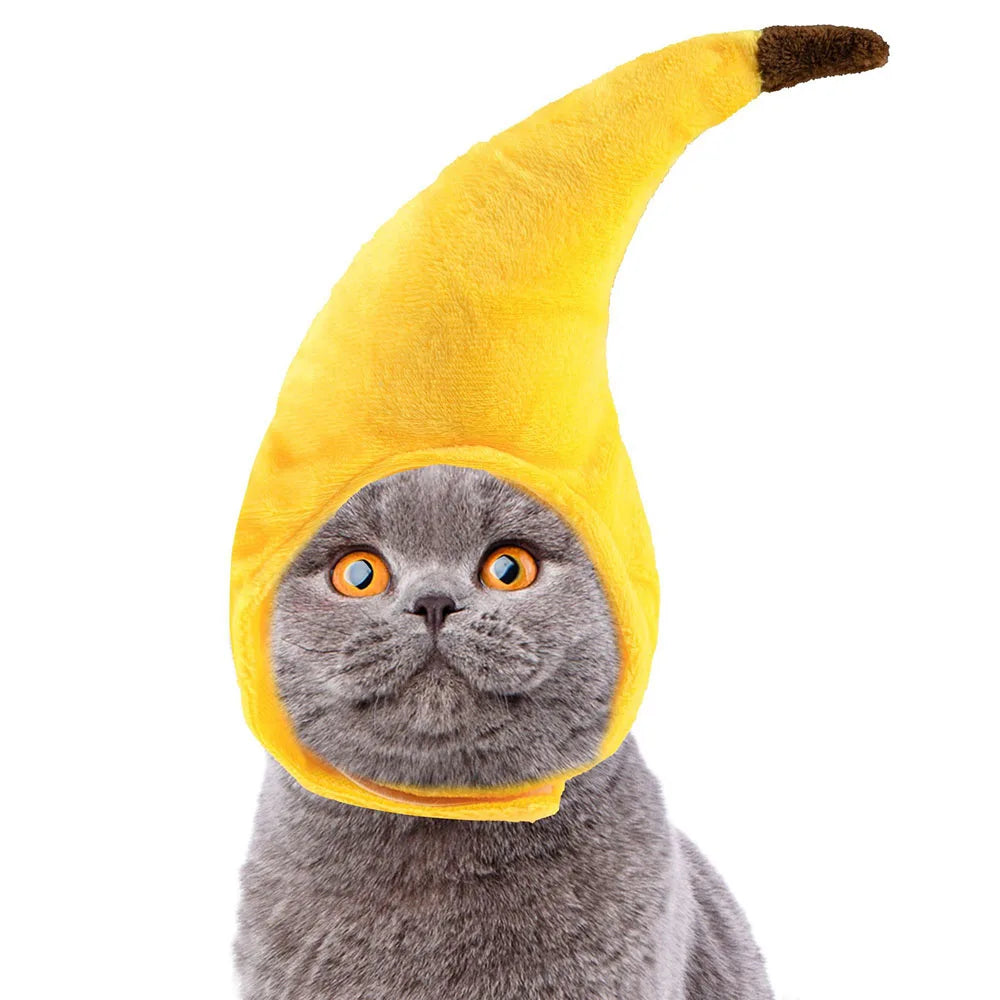 Cat wearing a yellow banana hat on a white background