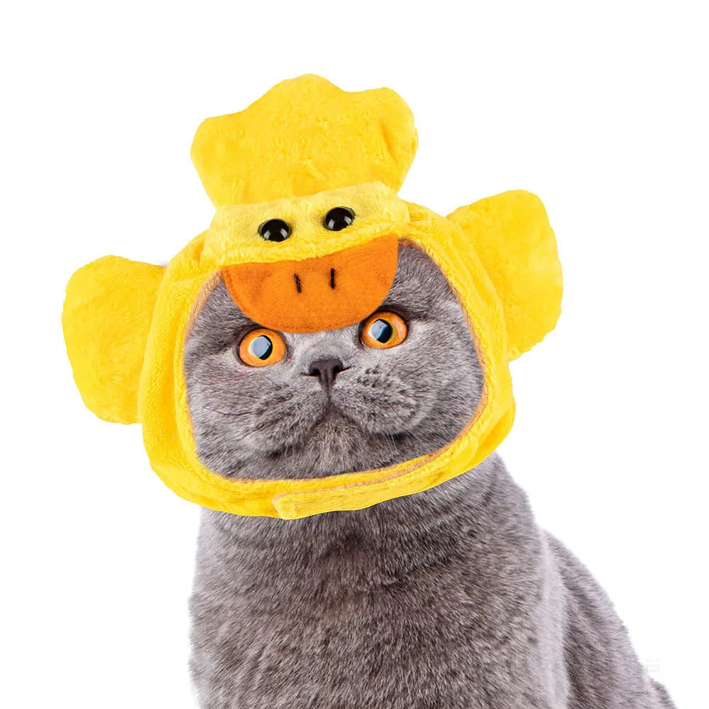 Cat wearing a yellow duck-shaped cone on a white background