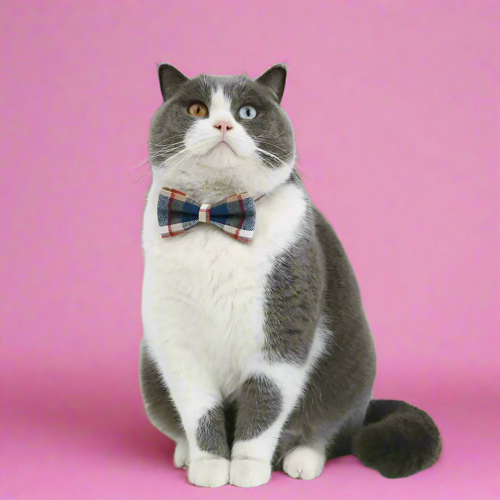 Chex print bow tie for Cats and Dogs