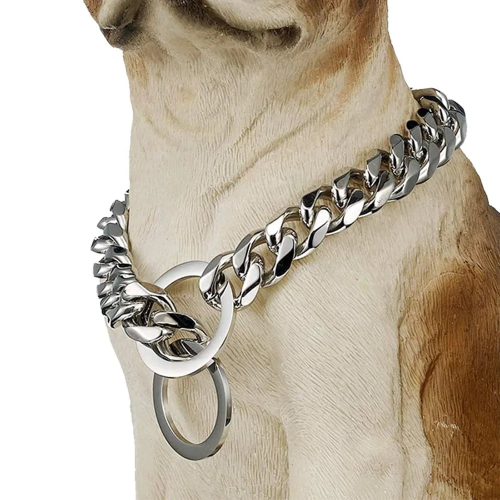 Close-up of a dog wearing a large silver chain collar 