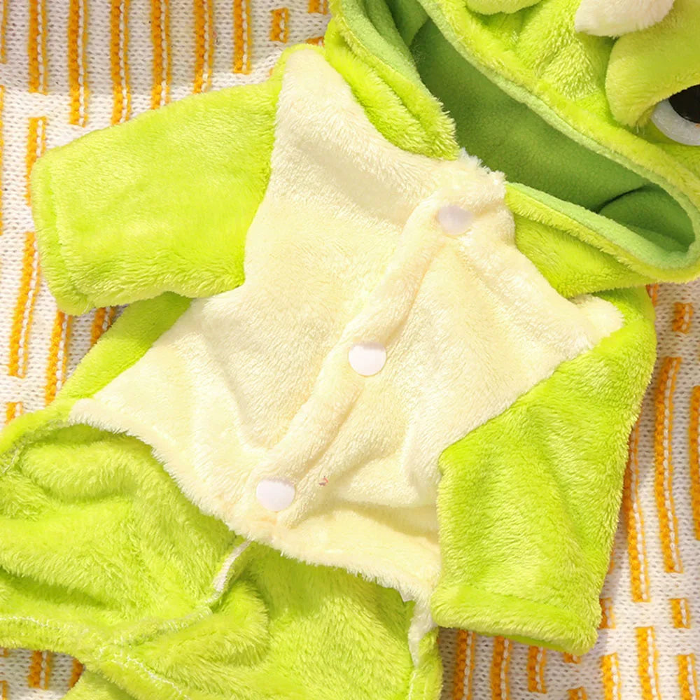 Close-up of a green dog sweater dog supplies