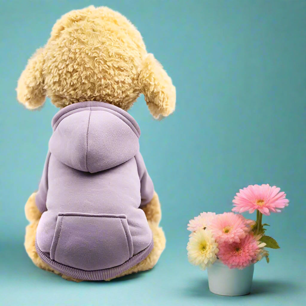 Cozy coat for Winter Walks for dogs