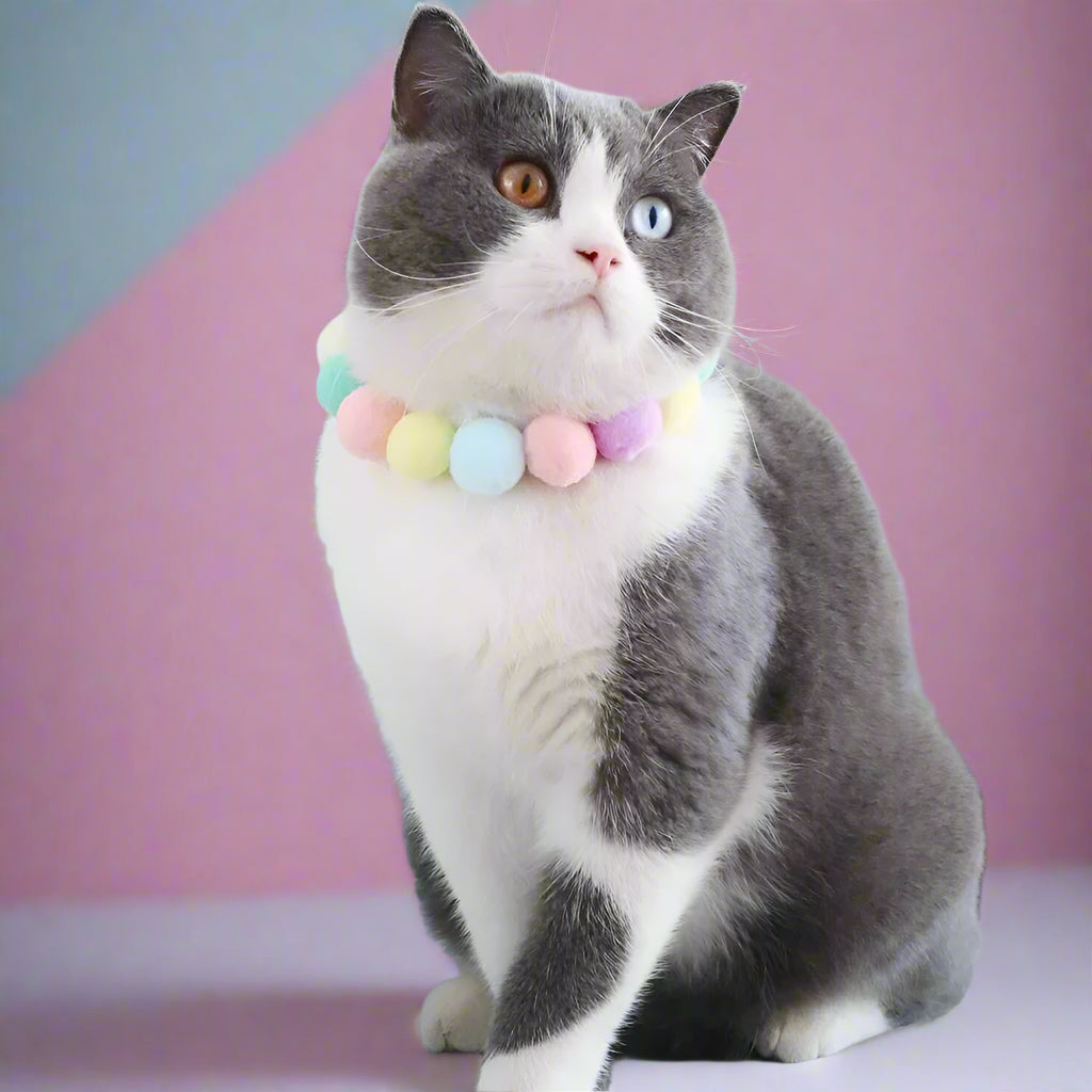 Cute Plush Ball Pet Necklace Collar for Cats & Small Dogs