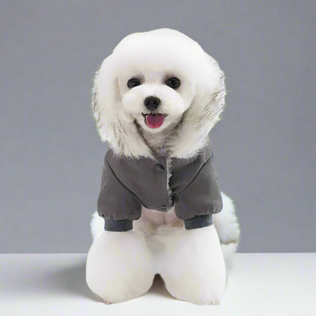 Dog Jacket Gray for Winters