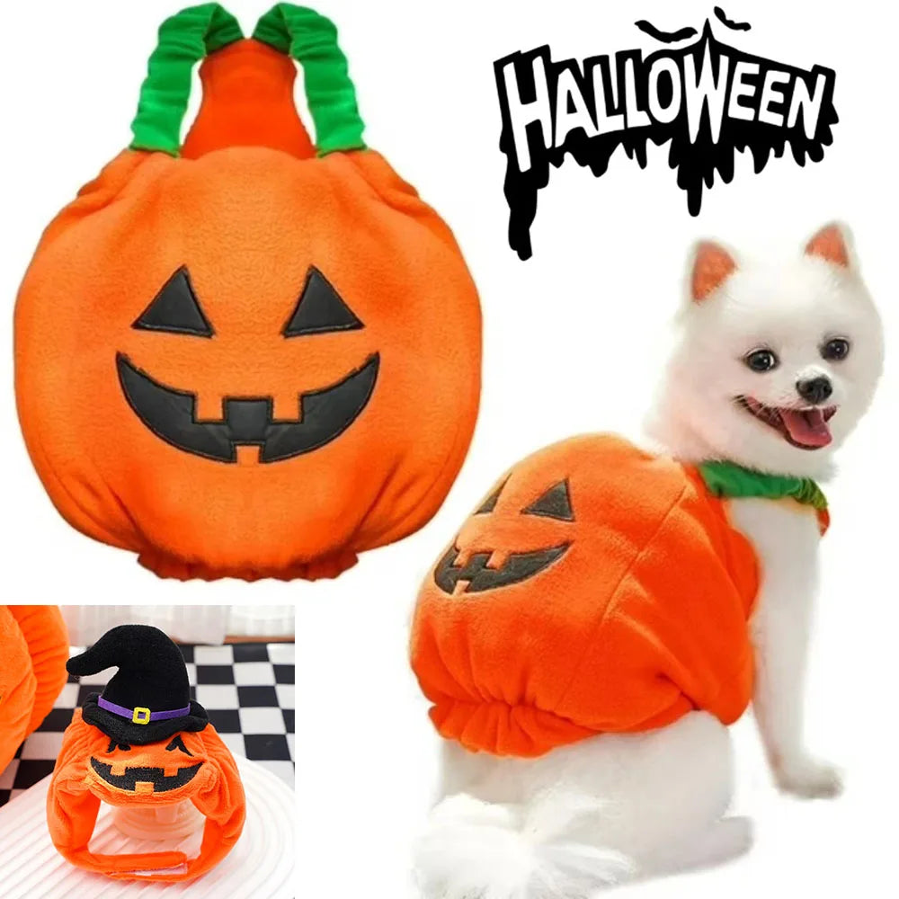 Dog Pumpkin Halloween Pet Cosplay Costume