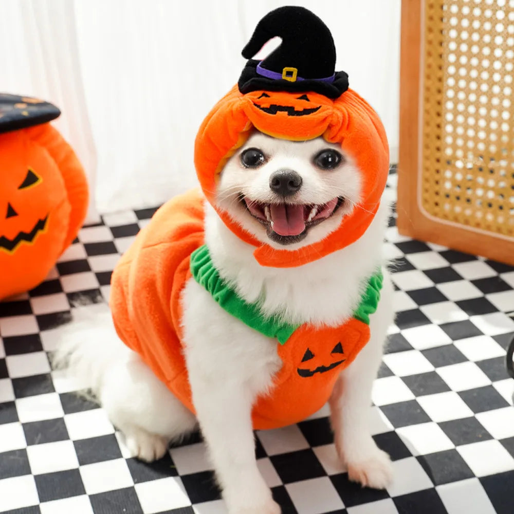 Dog Pumpkin Halloween Pet Cosplay Hat