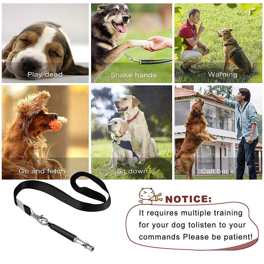 Dog Rope for Training & Bark Control 
