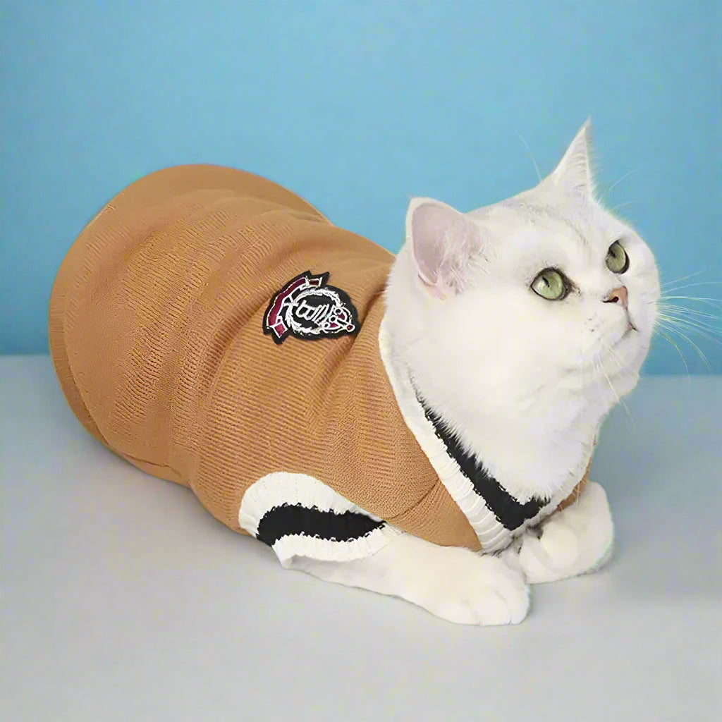 Dog Winter Outfit Mustard 