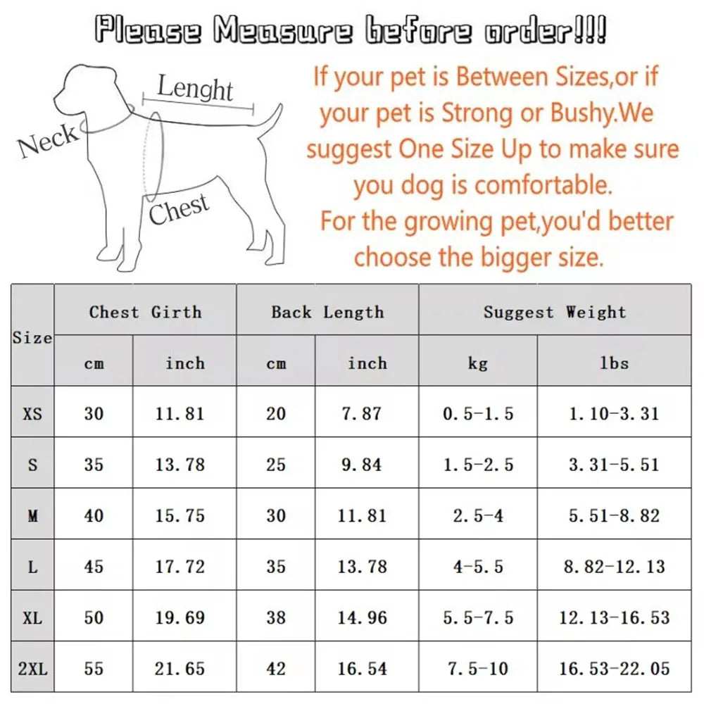 Dog dinosaur outfit size chart with measurements and suggestions for pet clothing or gear.