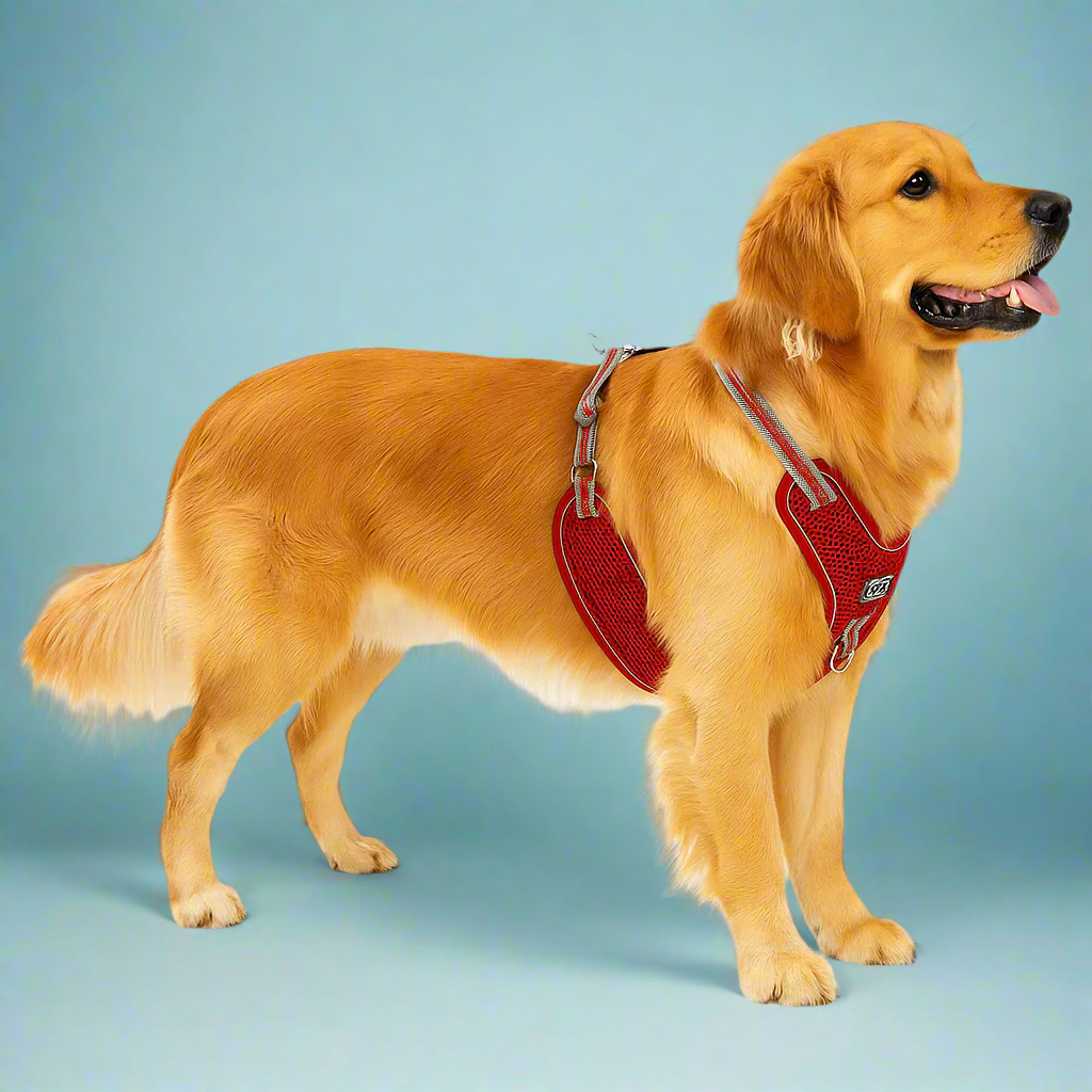 Dog harness and leash in Red