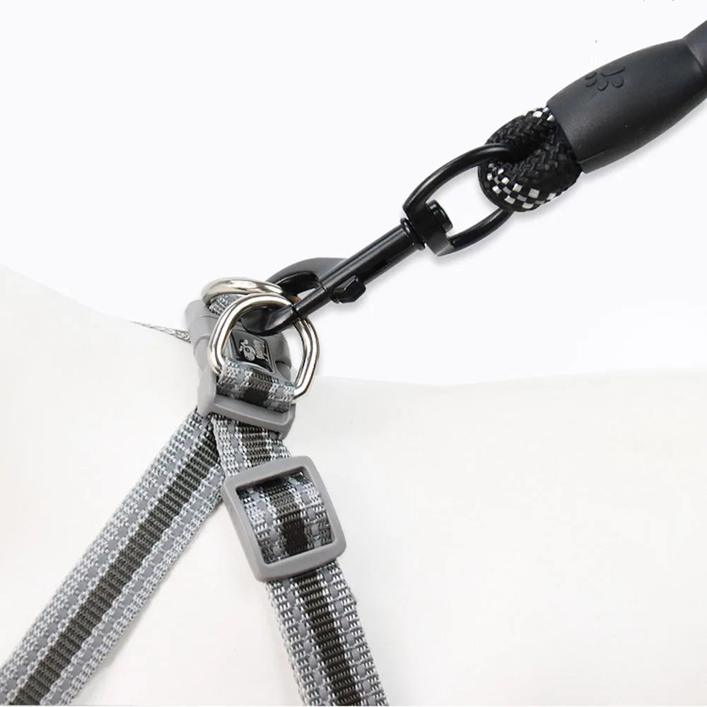 Dog harness and leash set black mesh