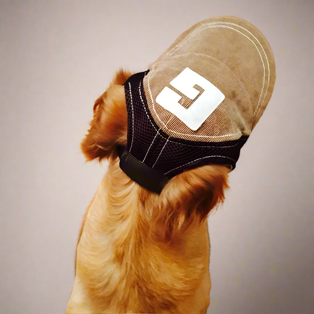 Dog hat for sun protection Adjustable Dog Baseball Cap with Ear Holes – Summer
