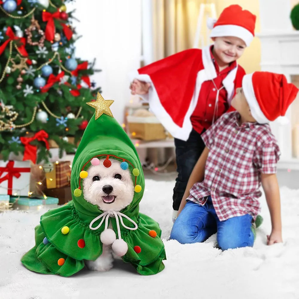 Dog in a Christmas tree costume for Christmas party and Santa hats in a festive setting.