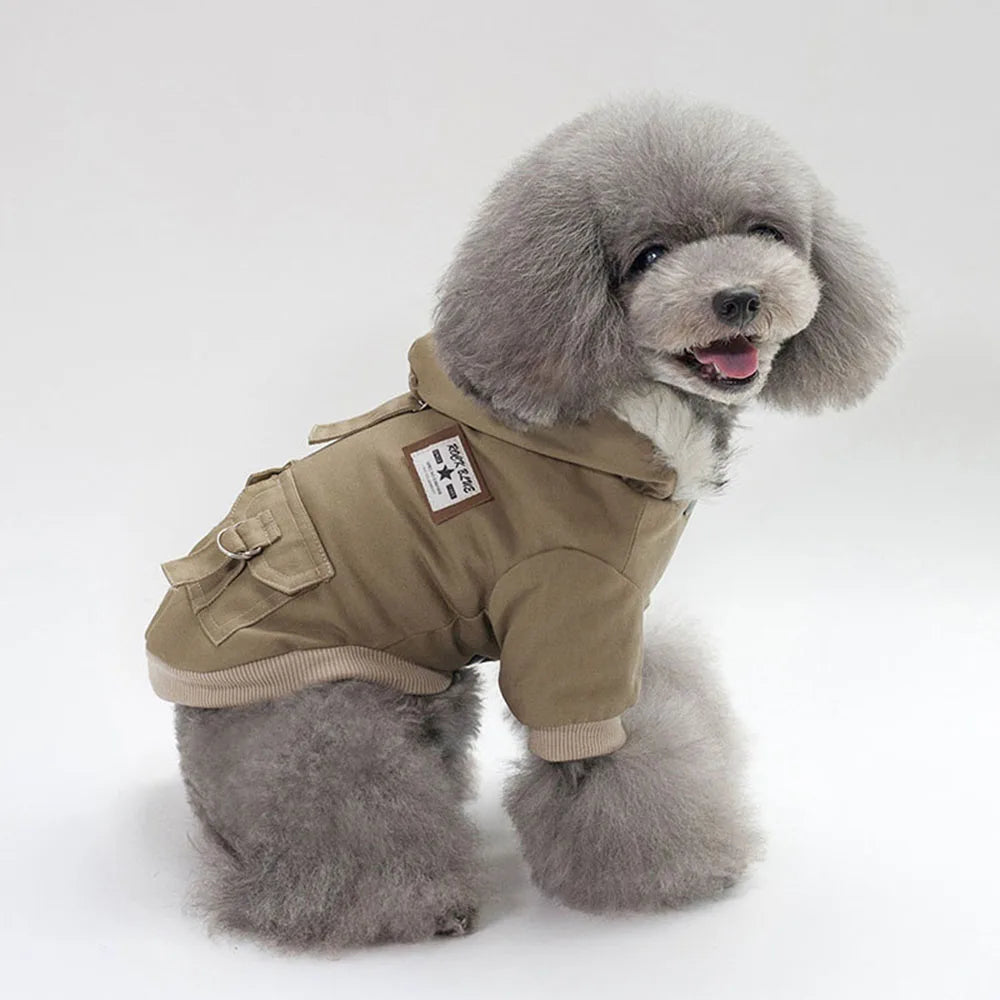 Dog wearing a beige coat with a hood on a white background