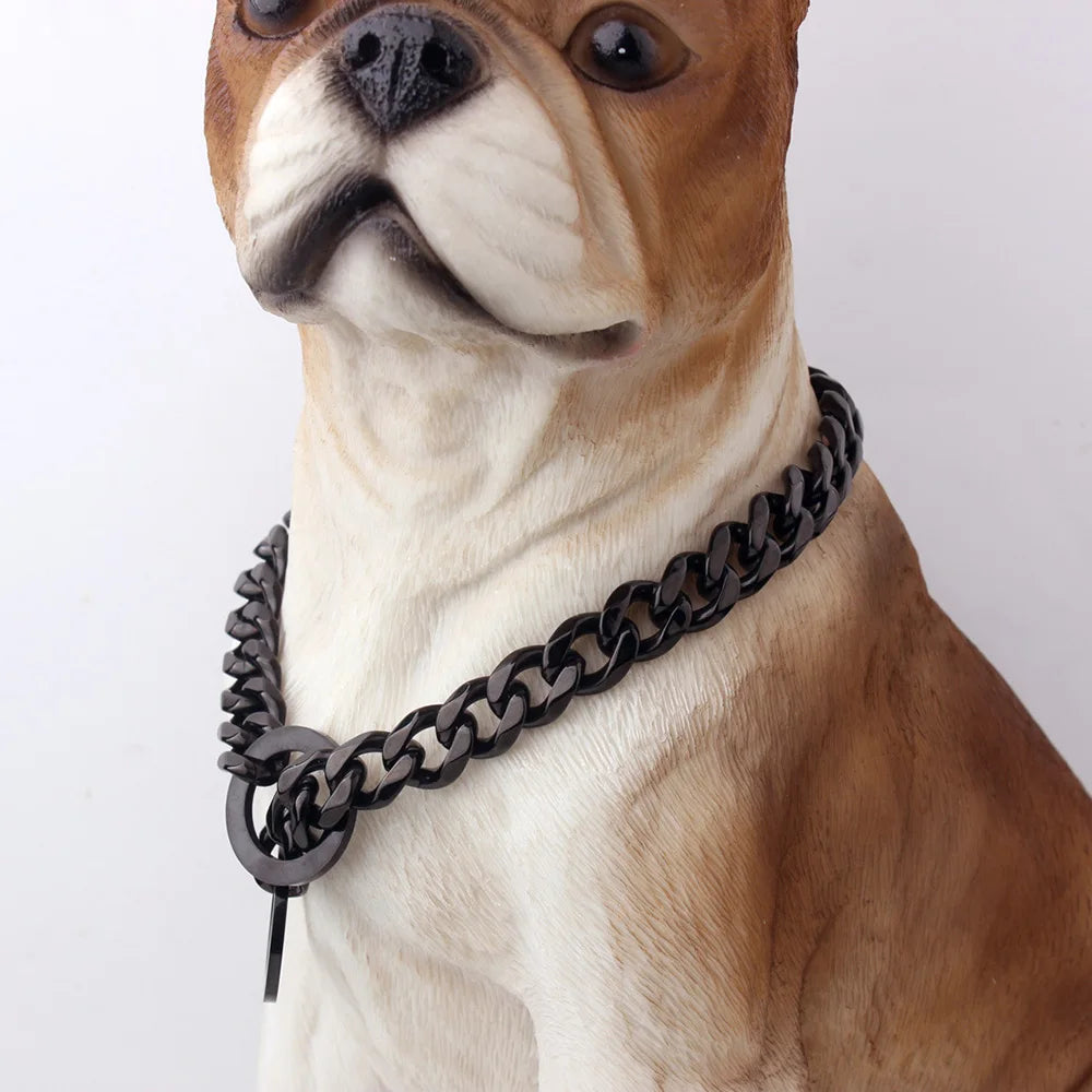 Dog wearing a black chain collar on a white background