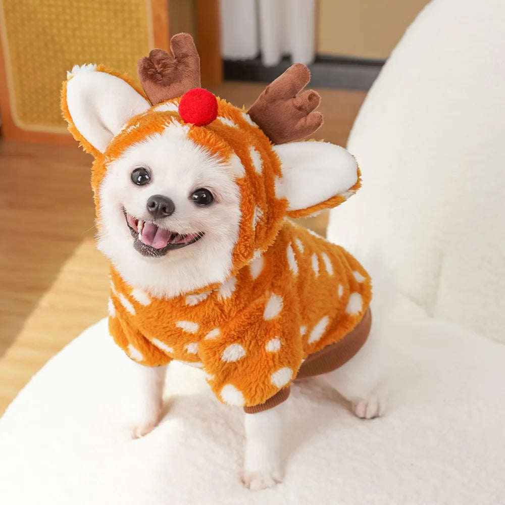 Dog wearing a deer costume with antlers and a red nose