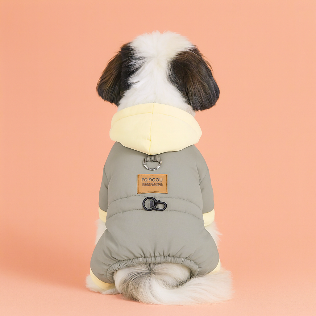 Dog wearing a gray puffer coat with a yellow hood on a peach background